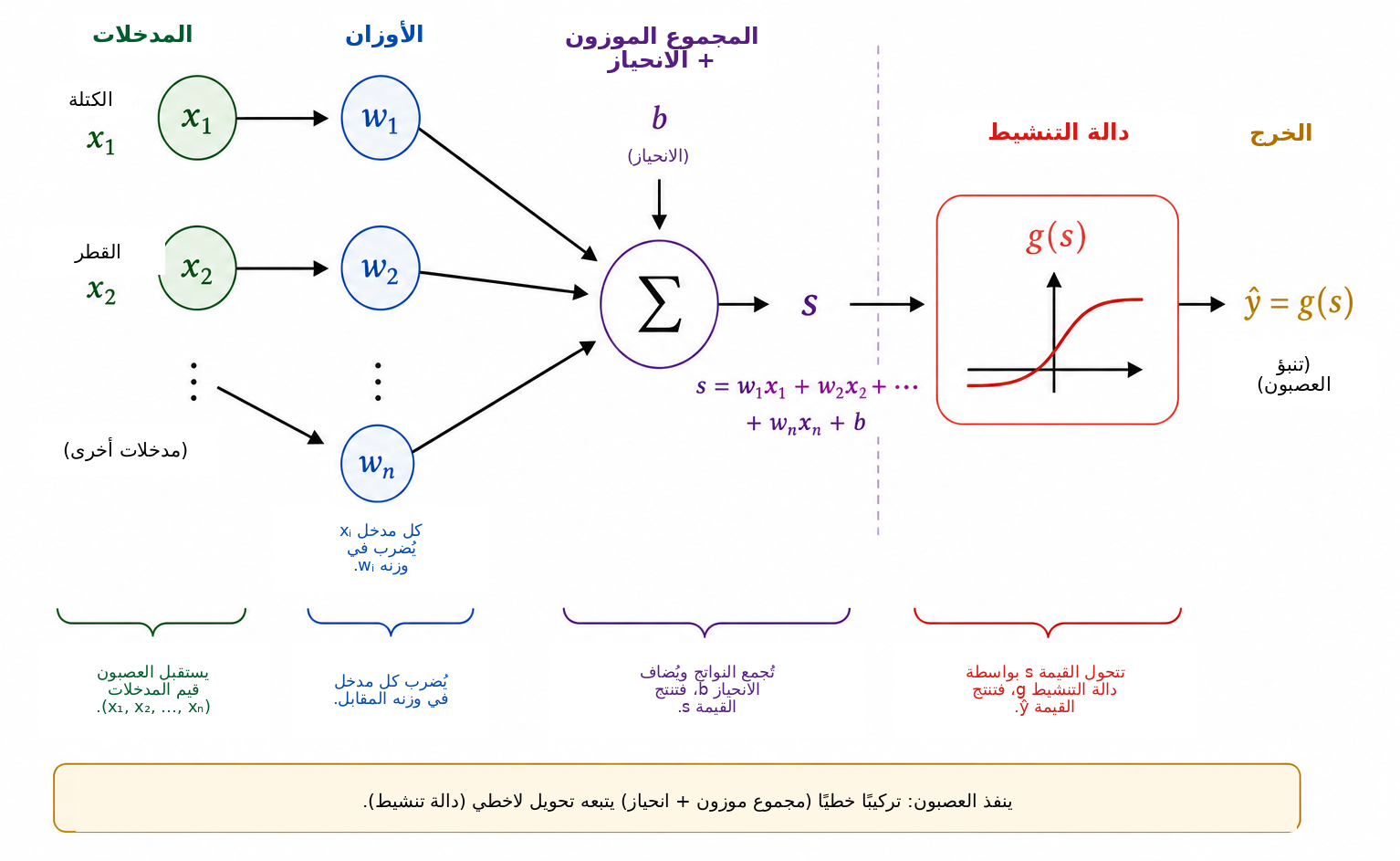 العمل التخطيطي لعصبون اصطناعي. يُضرب كل مدخل \(x_i\) في وزن \(w_i\) ؛ ثم تجمع النواتج مع الانحياز \(b\) لإنتاج القيمة \(s\) . بعد ذلك تحول دالة التنشيط \(g\) هذه القيمة إلى الخرج \(\widehat{y}=g(s)\) ، الذي يمكن استخدامه كميةً وسيطة أو تنبؤًا نهائيًا.
