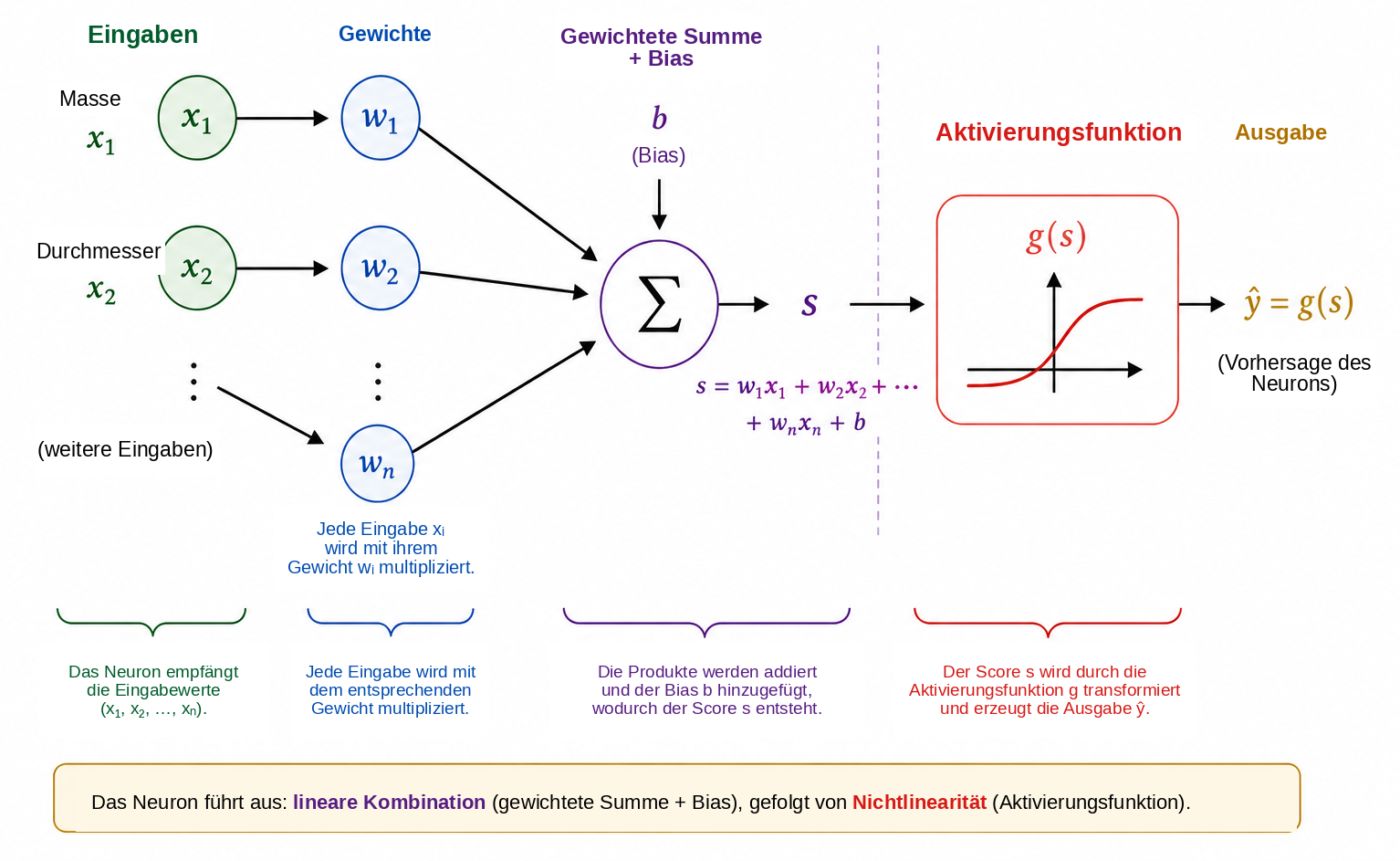 Schematische Funktionsweise eines künstlichen Neurons.