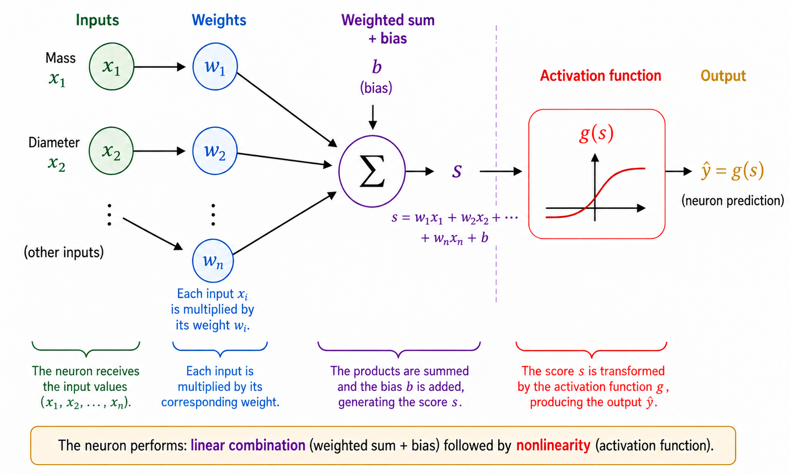 Schematic operation of an artificial neuron.