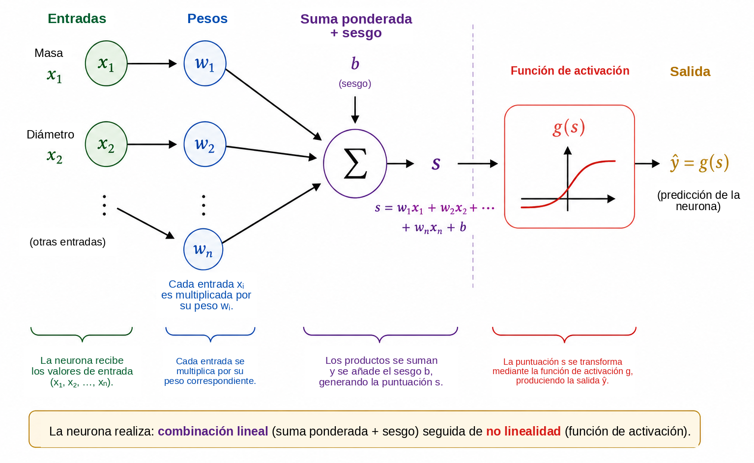 Funcionamiento esquemático de una neurona artificial.