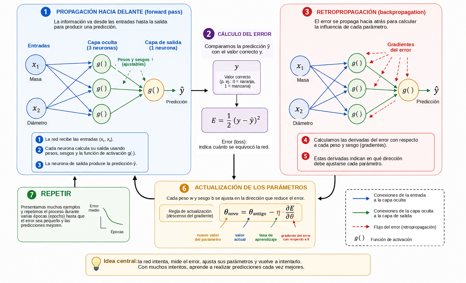 Ciclo básico de entrenamiento de una red neuronal.