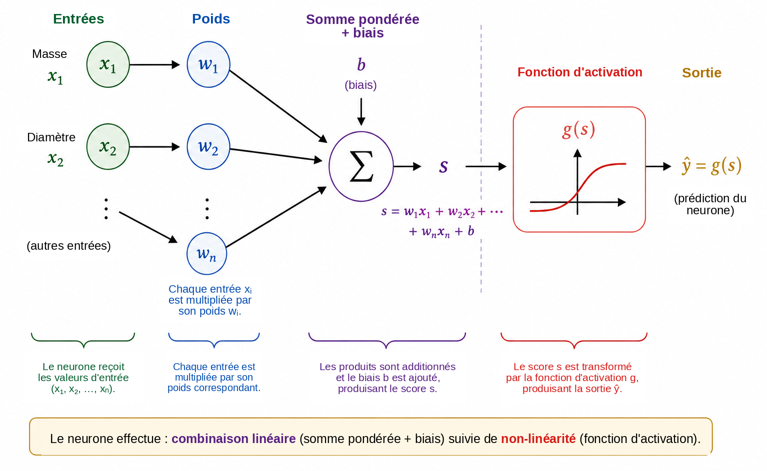 Fonctionnement schématique d’un neurone artificiel.
