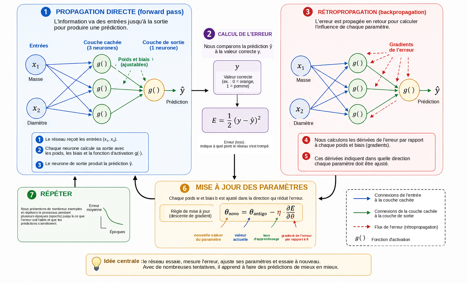 Cycle fondamental d’entraînement d’un réseau neuronal.