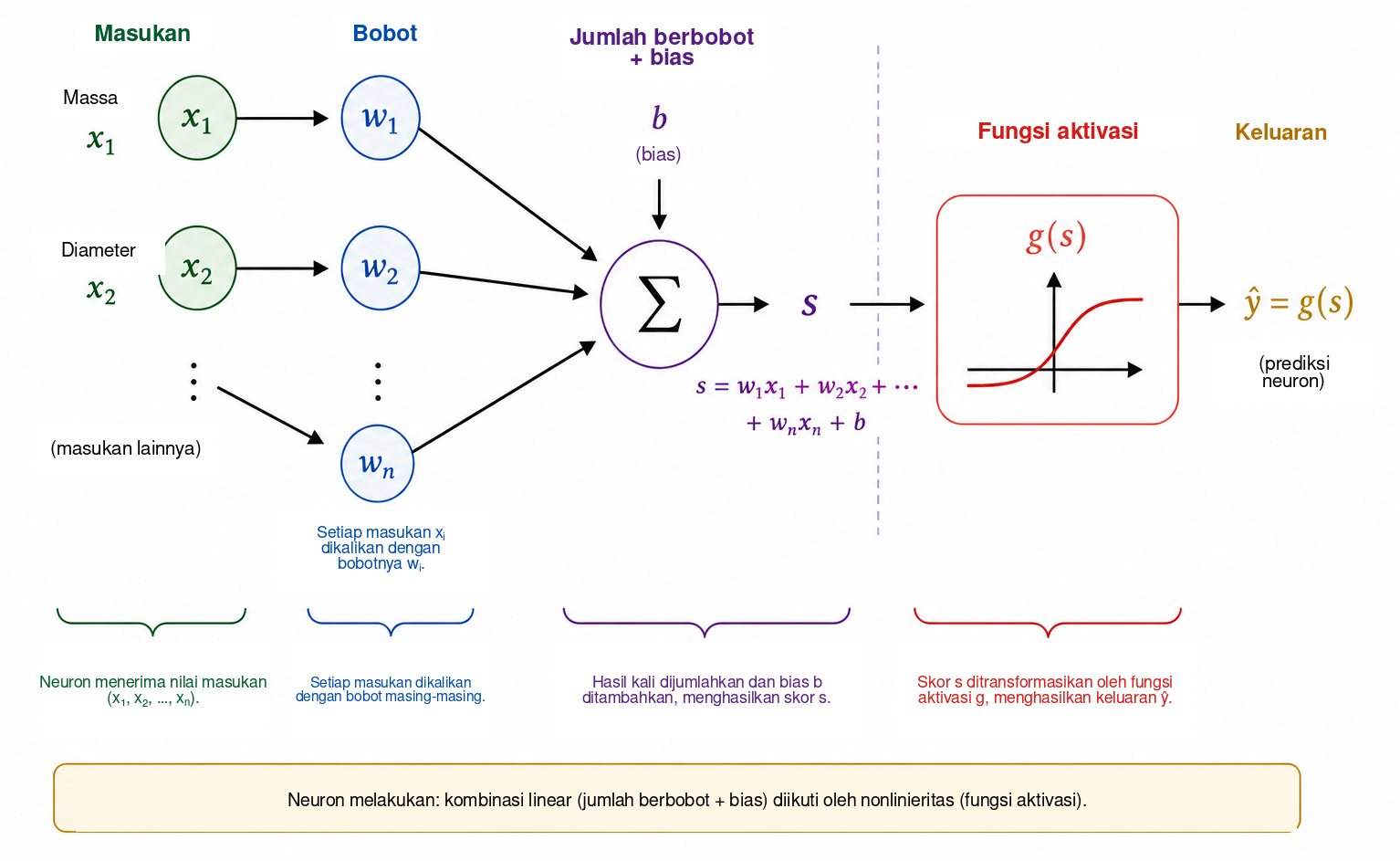 Skema kerja neuron tiruan. Setiap masukan \(x_i\) dikalikan dengan bobot \(w_i\) ; hasil-hasil kali dijumlahkan dengan bias \(b\) untuk menghasilkan skor \(s\) . Fungsi aktivasi \(g\) kemudian mengubah skor ini menjadi keluaran \(\widehat{y}=g(s)\) , yang dapat digunakan sebagai 