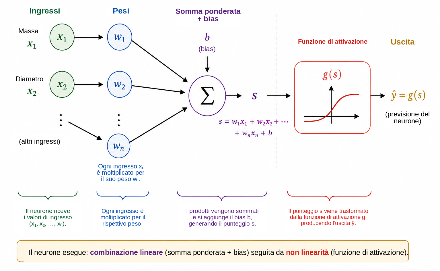 Funzionamento schematico di un neurone artificiale.