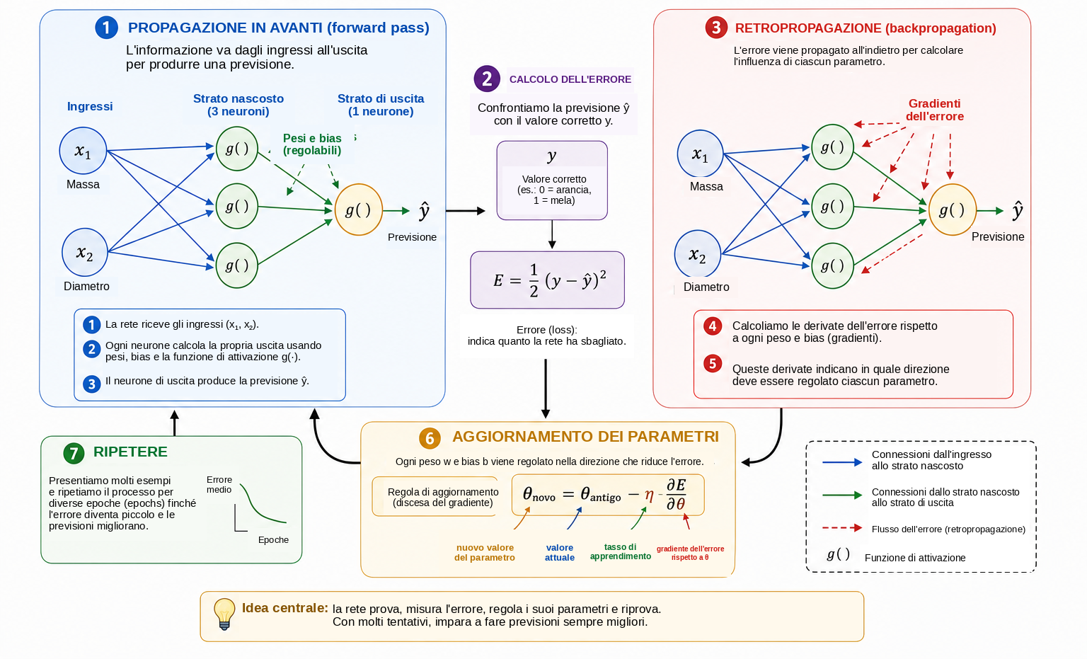 Ciclo fondamentale di addestramento di una rete neurale.