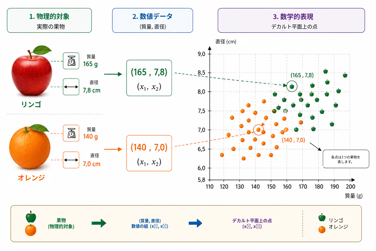 物理的観察から数学的モデル化へ。各果物はまず，質量と直径という二つの測定可能な量によって記述され，その後，順序対 \((x_1,x_2)\) で表される。質量–直径平面では各観測が一つの点となるため，リンゴとオレンジの識別は二つのクラスを分離する幾何学的問題として捉え直すことができる。