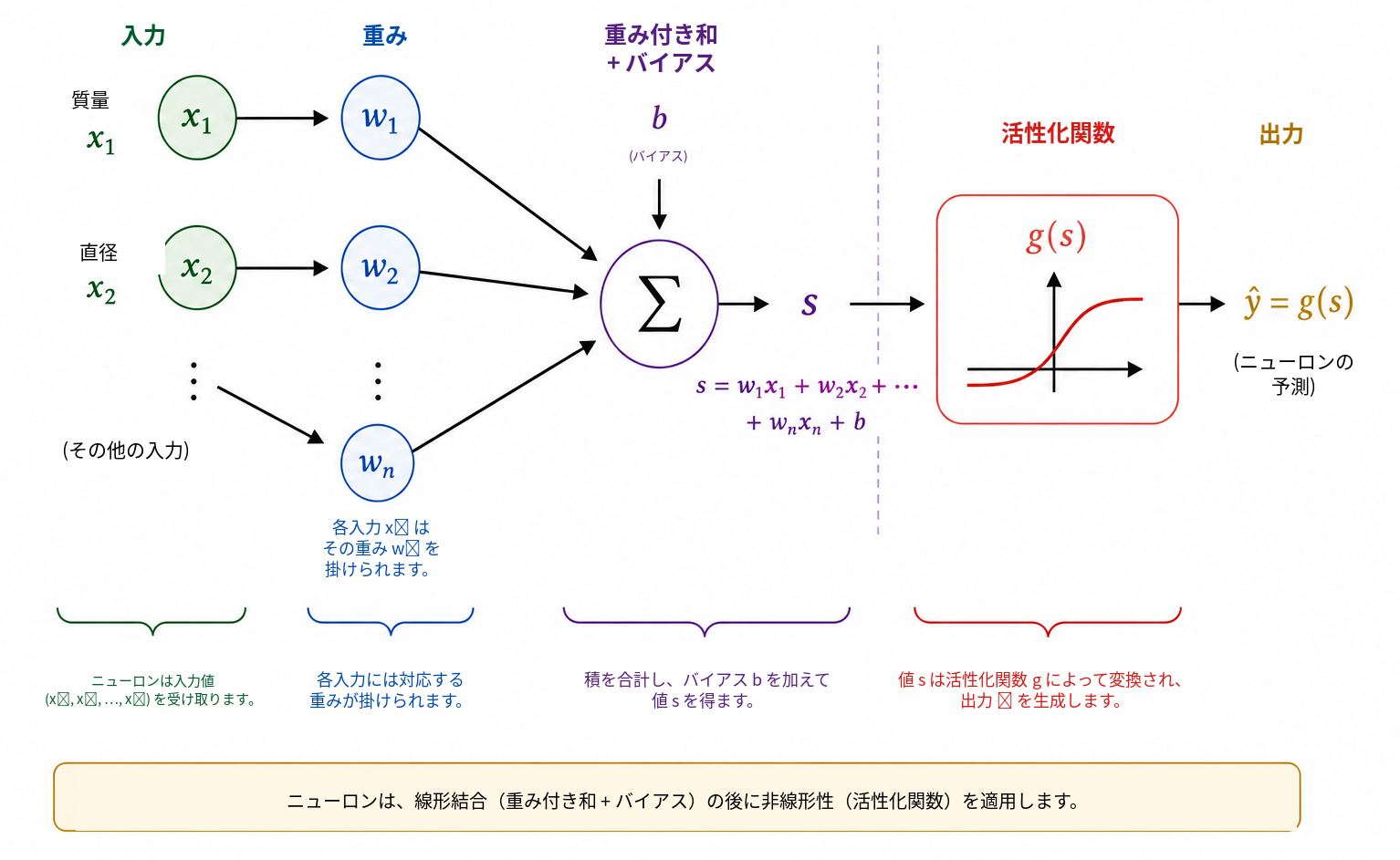 人工ニューロンの模式的な動作。各入力 \(x_i\) に重み \(w_i\) を掛け，それらの積をバイアス \(b\) と加えてスコア \(s\) を得る。次に活性化関数 \(g\) がこのスコアを出力 \(\widehat{y}=g(s)\) に変換する。この出力は中間量としても最終予測としても利用できる。
