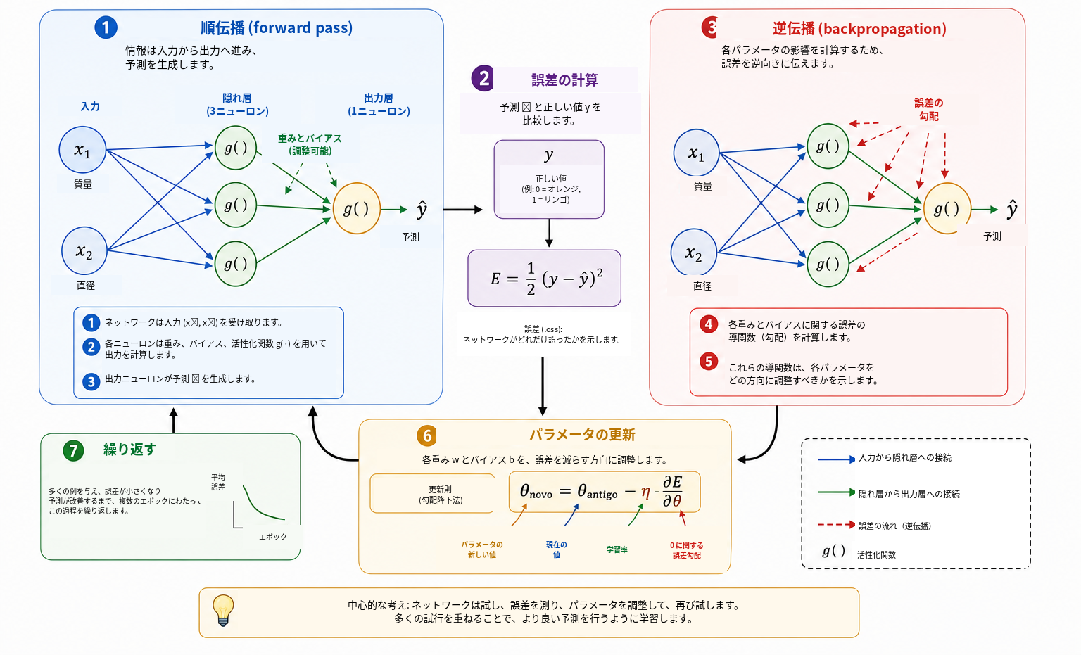 ニューラルネットワークの基本的な学習サイクル。順伝播によって入力から予測を得て，損失関数で予測と目標値のずれを測る。逆伝播では連鎖律を用いて勾配を計算し，勾配降下法によってその勾配を使い重みとバイアスを更新する。このサイクルを多数のエポックにわたって繰り返すことが学習である。