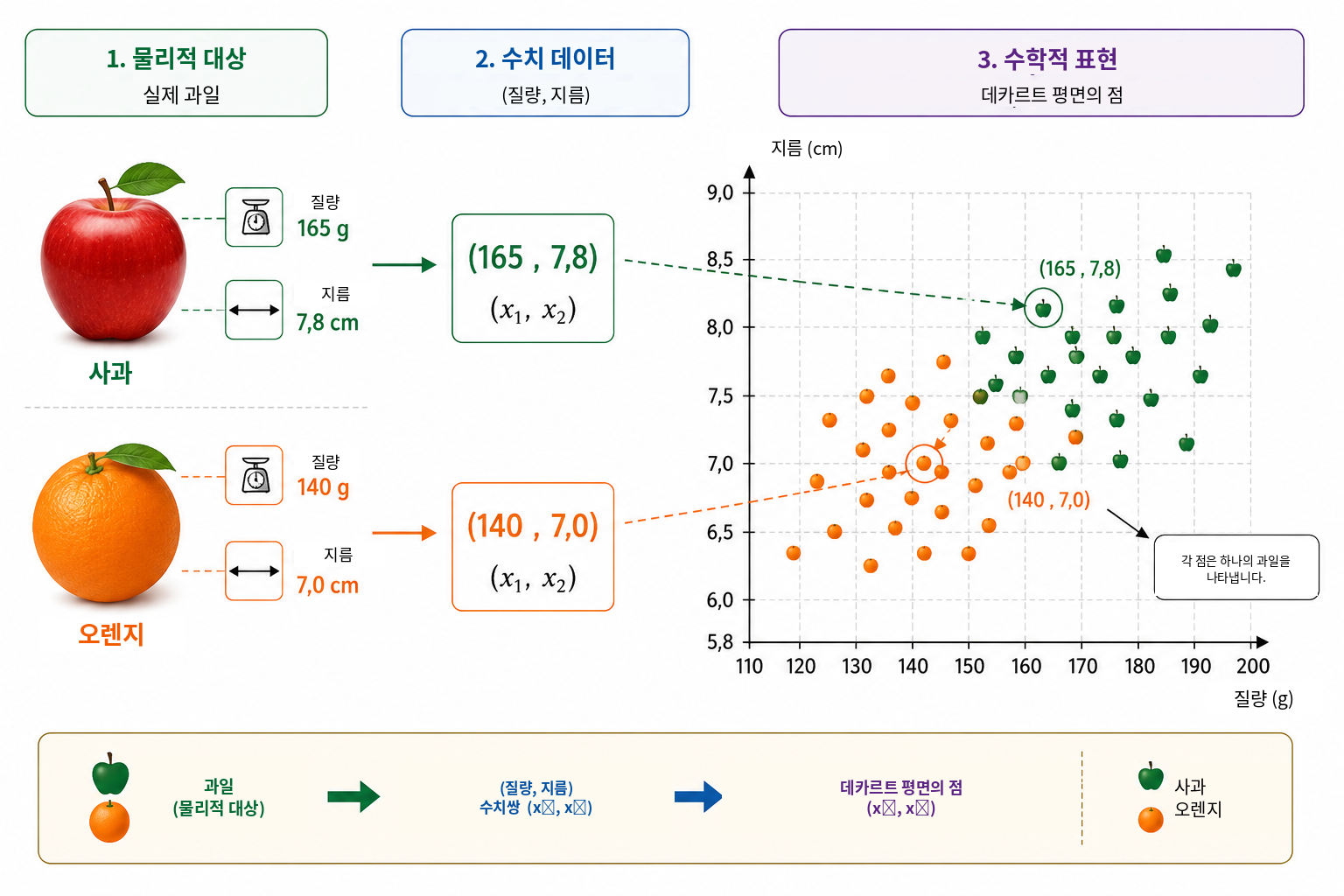 물리적 관찰에서 수학적 모델링으로. 각 과일은 먼저 질량과 지름이라는 두 개의 측정 가능한 양으로 기술되고, 이후 순서쌍 \((x_1,x_2)\) 로 표현된다. 질량–지름 평면에서는 각 관측이 하나의 점이 되므로, 사과와 오렌지를 구별하는 문제를 두 클래스를 분리하는 기하학 문제로 다시 해석할 수 있다.