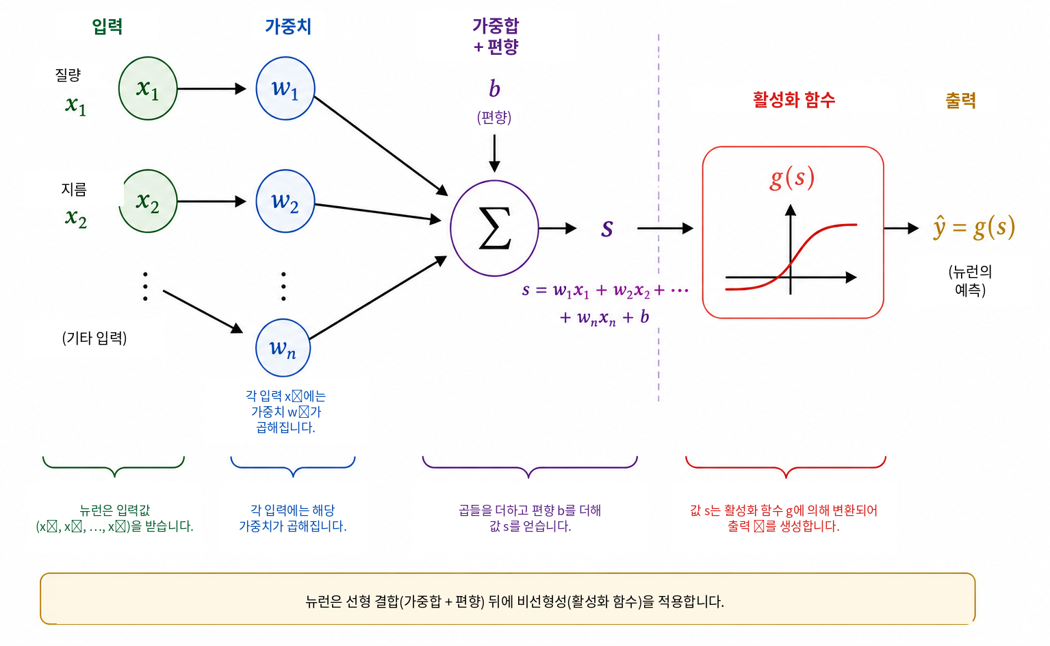 인공 뉴런의 도식적 작동. 각 입력 \(x_i\) 에 가중치 \(w_i\) 를 곱하고, 그 곱들을 편향 \(b\) 와 더해 점수 \(s\) 를 얻는다. 다음으로 활성화 함수 \(g\) 가 이 점수를 출력 \(\widehat{y}=g(s)\) 로 변환한다. 이 출력은 중간량으로도, 최종 예측으로도 사용할 수 있다.
