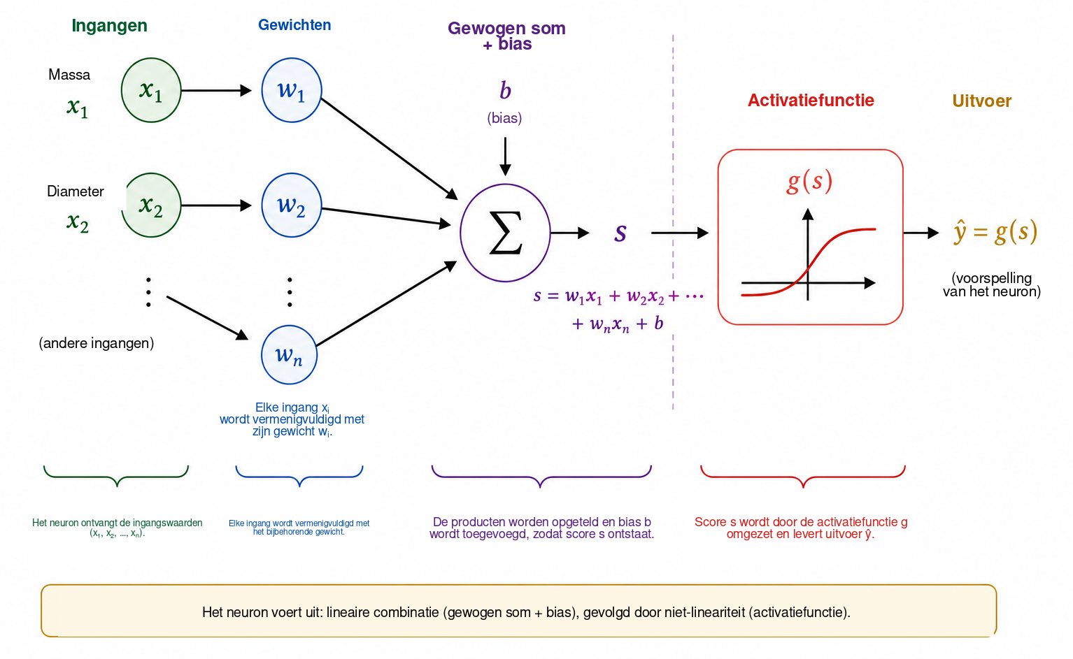 Schematische werking van een kunstmatig neuron. Elke ingang \(x_i\) wordt vermenigvuldigd met een gewicht \(w_i\) ; de producten worden samen met bias \(b\) opgeteld om score \(s\) te produceren. De activatiefunctie \(g\) zet deze score vervolgens om in de uitvoer \(\widehat{y}=g
