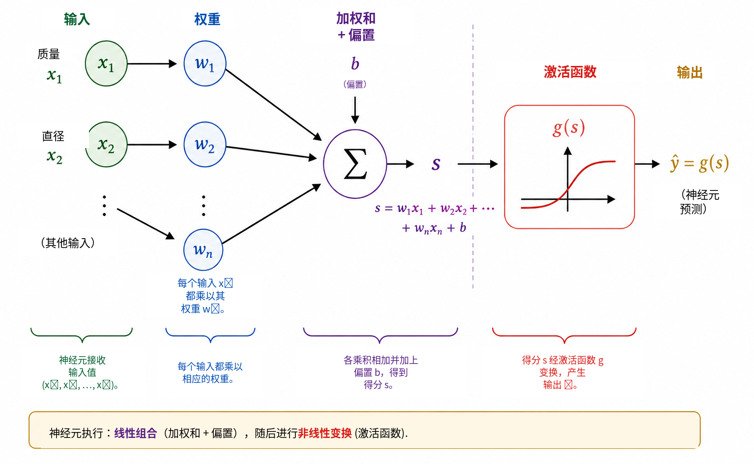 人工神经元的示意计算。每个输入 \(x_i\) 乘以一个权重 \(w_i\) ；所有乘积与偏置 \(b\) 相加，得到得分 \(s\) 。随后激活函数 \(g\) 把该得分变换成输出 \(\widehat{y}=g(s)\) 。这个输出既可以作为网络中的中间量，也可以作为最终预测。